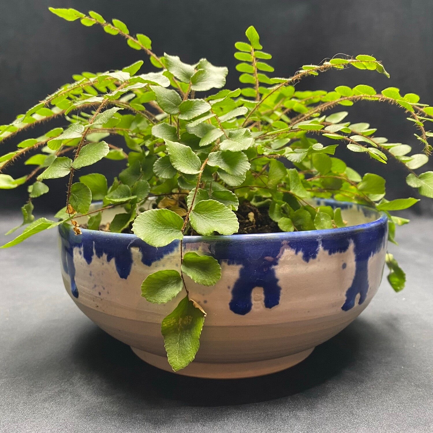 Nullabor Planter No: 1